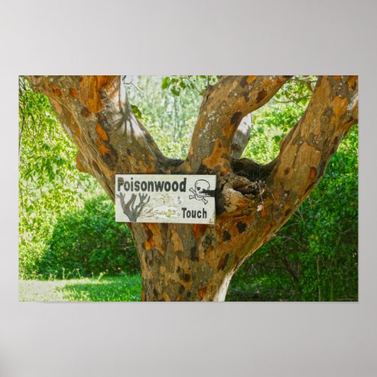 Poster Panneau d'avertissement Poisonwood Tree (Devant)