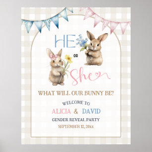 Poster Panneau de bienvenue pour révélation de sexe avec 