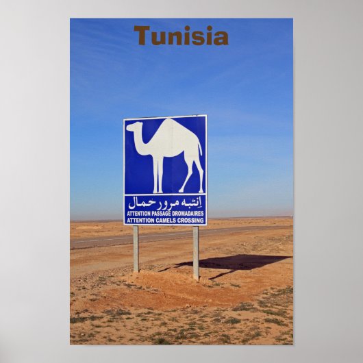 Poster Panneau de chameaux, Tunisie (Devant)