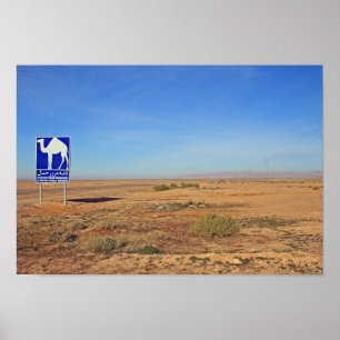 Poster Panneau de chameaux, Tunisie