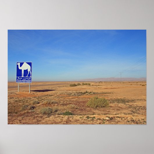 Poster Panneau de chameaux, Tunisie (Devant)