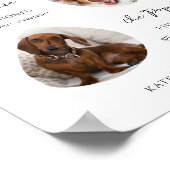 Poster Panneau de la barre des boissons de signature de c (Coin)