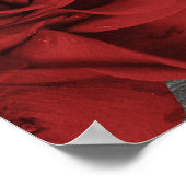 Poster Panneau de mariage à dentelle noire rustique Roses (Coin)