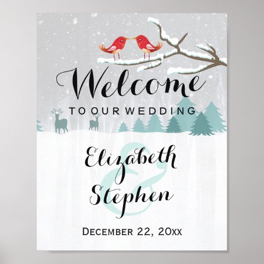 Poster Panneau de mariage de pays des merveilles de neige (Devant)