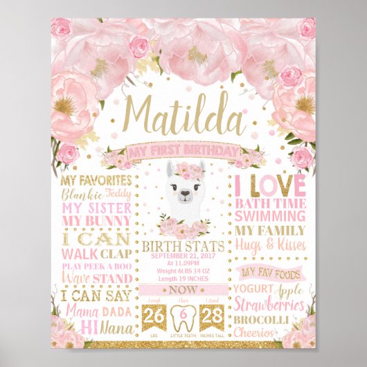 Poster Panneau de statistiques de naissance pour le 1er a (Devant)