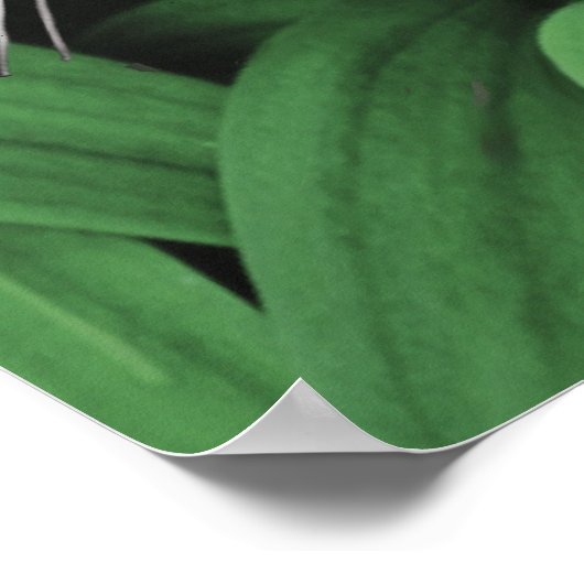 POSTER PANNEAU D'EXTRACTION (Coin)