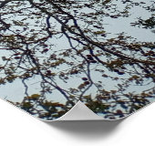 Poster Panneau d'interdiction de natation dans un arbre (Coin)