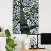 Poster Panneau d'interdiction de natation dans un arbre (Bureau à domicile)