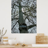 Poster Panneau d'interdiction de natation dans un arbre (Cuisine)