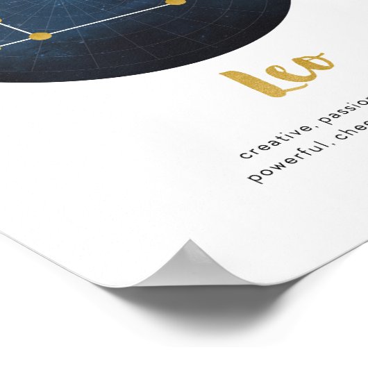 Poster Panneau Leo (Coin)