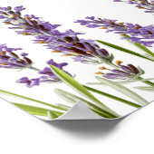 Poster Panneau Mariage Lavender débranché (Coin)