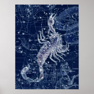 Poster Panneau Scorpio Zodiac Illustration Vintage