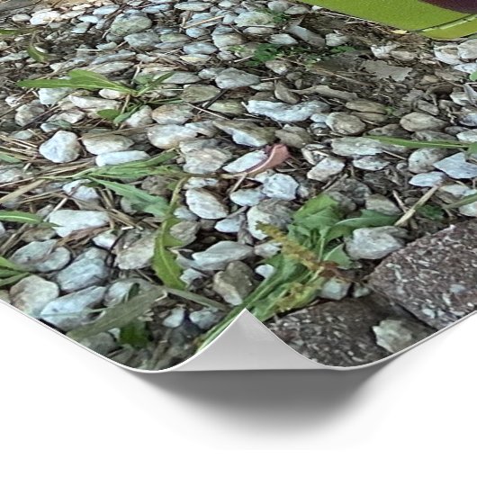 Poster Panneaux communautaires (Coin)