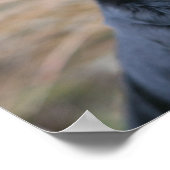 Poster Panneaux de Carlin noir en regardant la caméra (Coin)