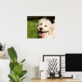 Poster Panneaux de chiot Goldendoodle (Bureau à domicile)