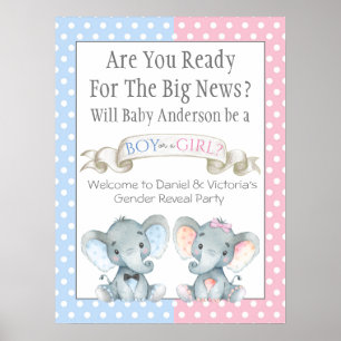 Poster Panneaux de Révélation du Sexe pour Baby Shower