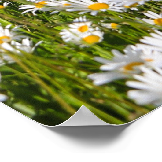 Poster Panneaux solaires Green Meadow Énergie durable (Coin)