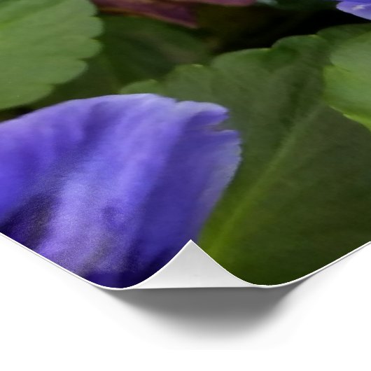 Poster panneaux violets (Coin)