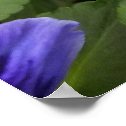 Poster panneaux violets (Coin)