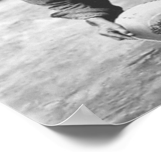 Poster Panning en or (Coin)