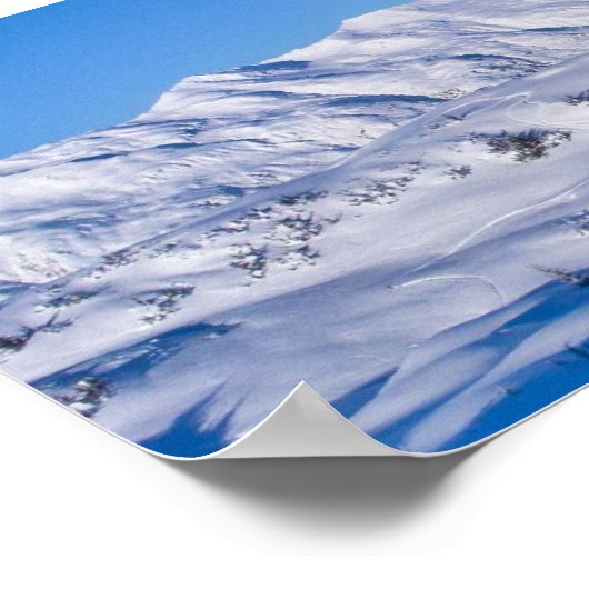 Poster Pano d'écureuil (Coin)