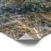 Poster pano__HDR (Coin)