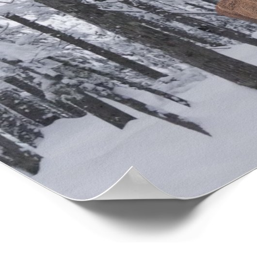 Poster Panorama (Coin)