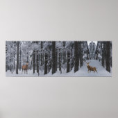 Poster Panorama (Devant)