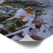 Poster Panorama (Coin)