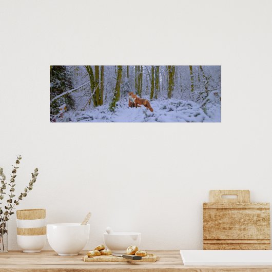 Poster Panorama (Cuisine)