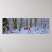 Poster Panorama (Devant)