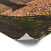 Poster Panorama (Coin)