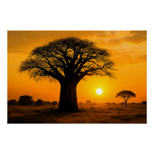 Poster Panorama à l'heure d'or sur l'arbre baobab