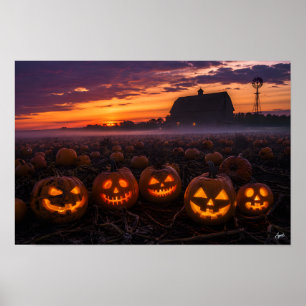 Poster Panorama de champ de citrouilles au crépuscule