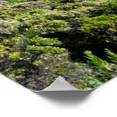 Poster Panorama de Deep Creek Cove (Coin)