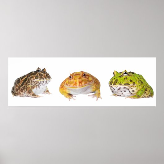 Poster Panorama de l'affiche Pacman (Devant)