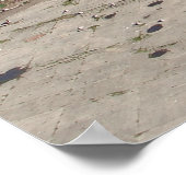 POSTER PANORAMA DE SAN FRANCISCO (Coin)