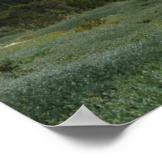 Poster Panorama du Colorado (Coin)