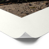 Poster Panorama du lac Crater (Coin)