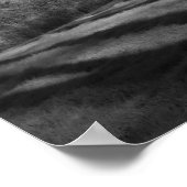 Poster Panorama hivernal (Coin)