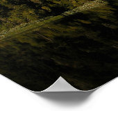 Poster Panorama Nouvelle-Zélande 1 (Coin)