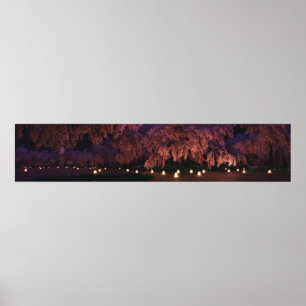 Poster Panorama Sakura (Nuit)
