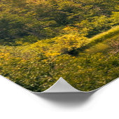 Poster Panorama : Un ruisseau sous la montagne (Coin)