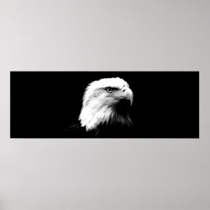 Poster Panoramique de l'aigle américain Imprimer