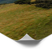 Poster Panoramique néo-zélandaise 2 (Coin)