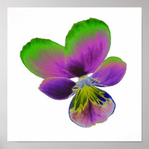 Poster Panser violet vert
