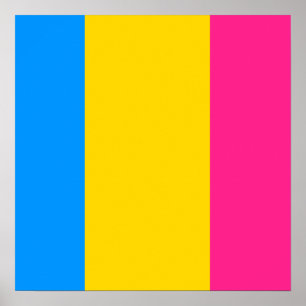 Poster Pansexuel Fière