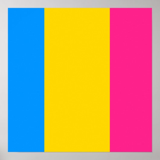 Poster Pansexuel Fière (Devant)