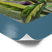 Poster Pansies (Coin)