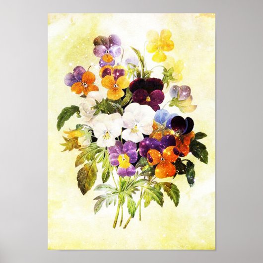 Poster Pansies (Devant)